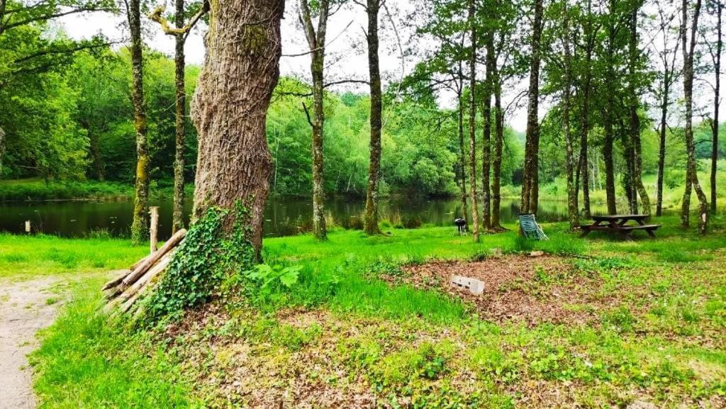 Cap Nature - T3 Et T4 En Perigord Vert - Ideal Pros Et Groupes Max 18P Champniers-et-Reilhac 外观 照片